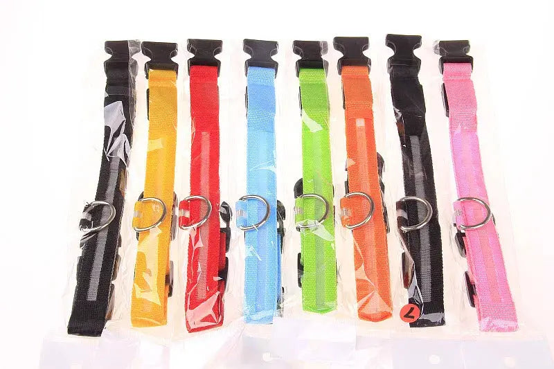 LED Dog Collar - Black & Elva