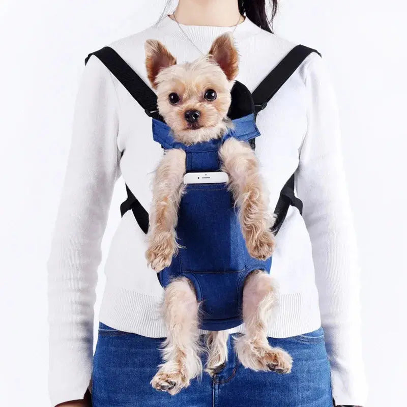 Pet Backpack - Black & Elva