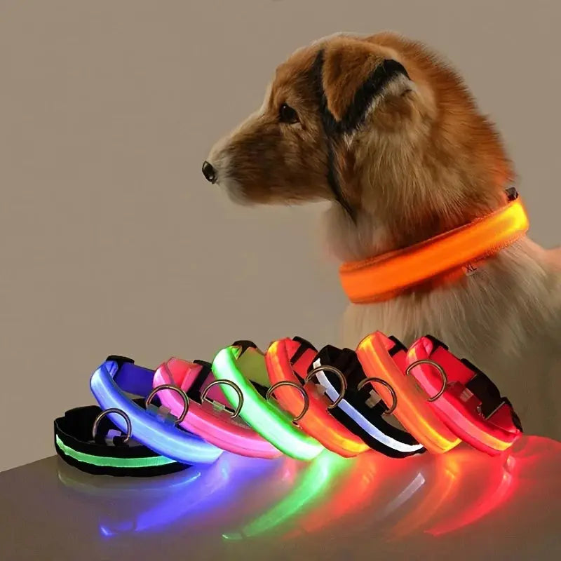 LED Dog Collar - Black & Elva