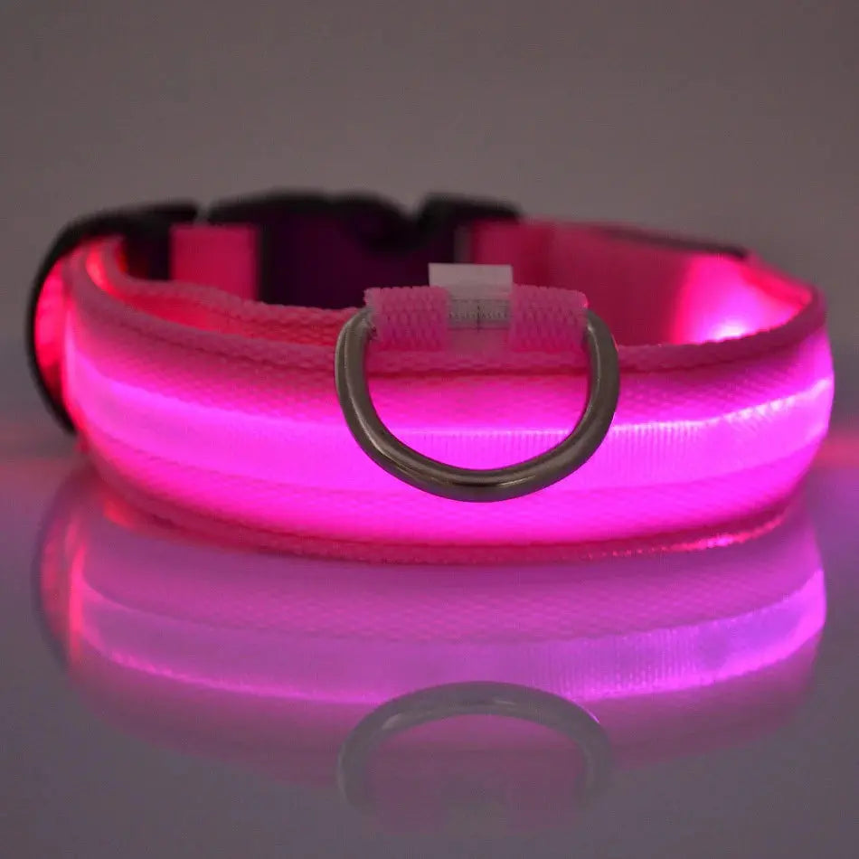 LED Dog Collar - Black & Elva
