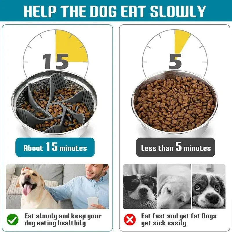 Slow Feeder Dog Bowl - Black & Elva
