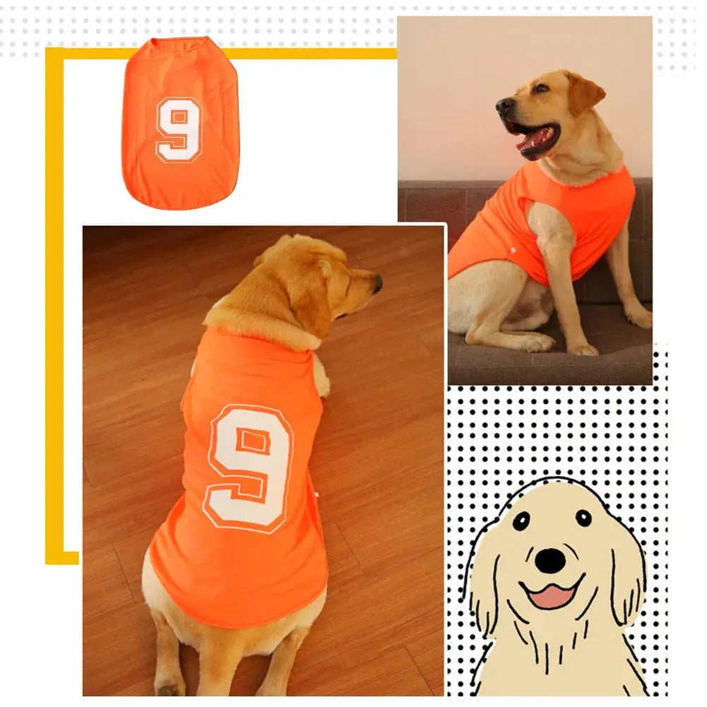 Quick Dry Dog Shirt - Black & Elva