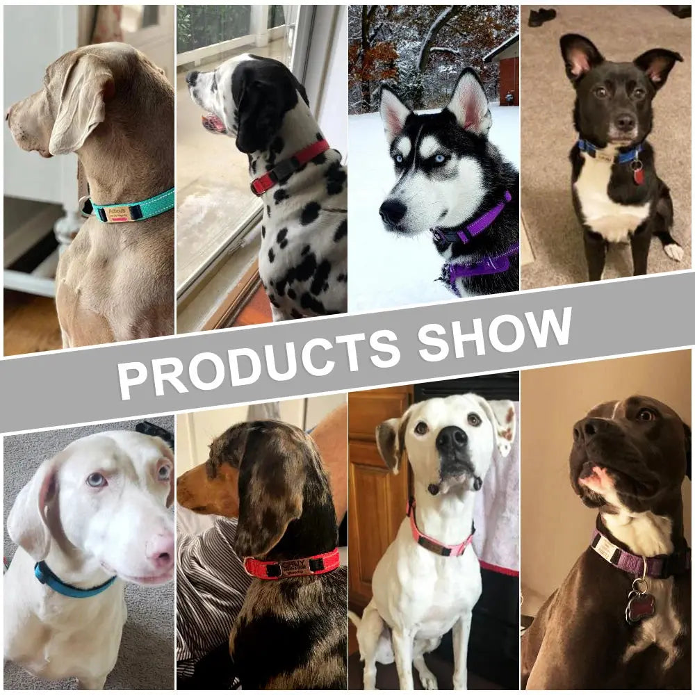 Custom Dog Collar - Black & Elva