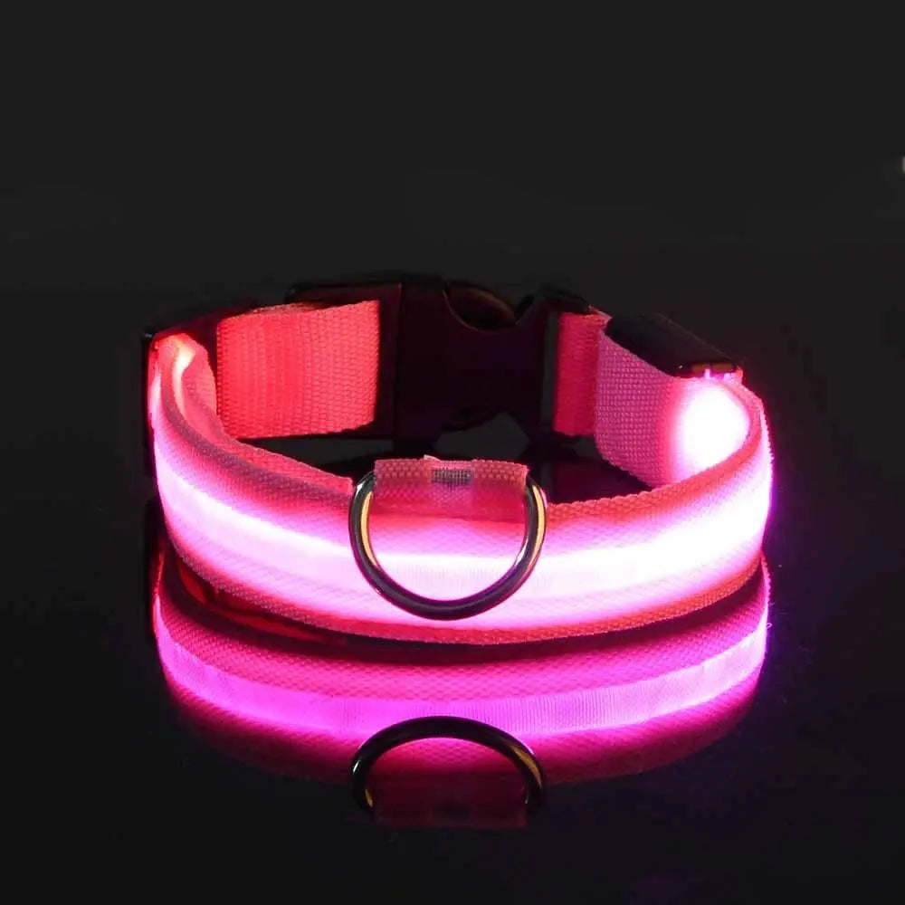 LED Dog Collar - Black & Elva