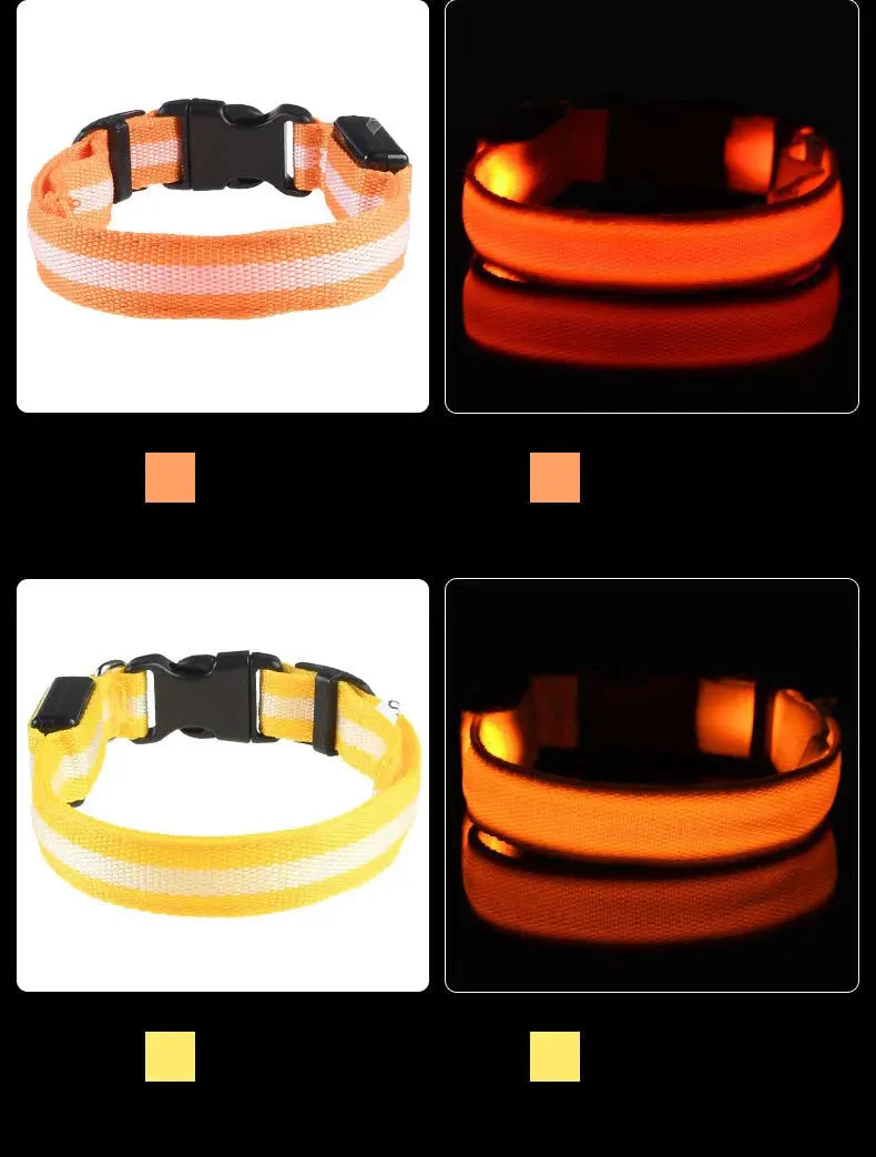 LED Dog Collar - Black & Elva