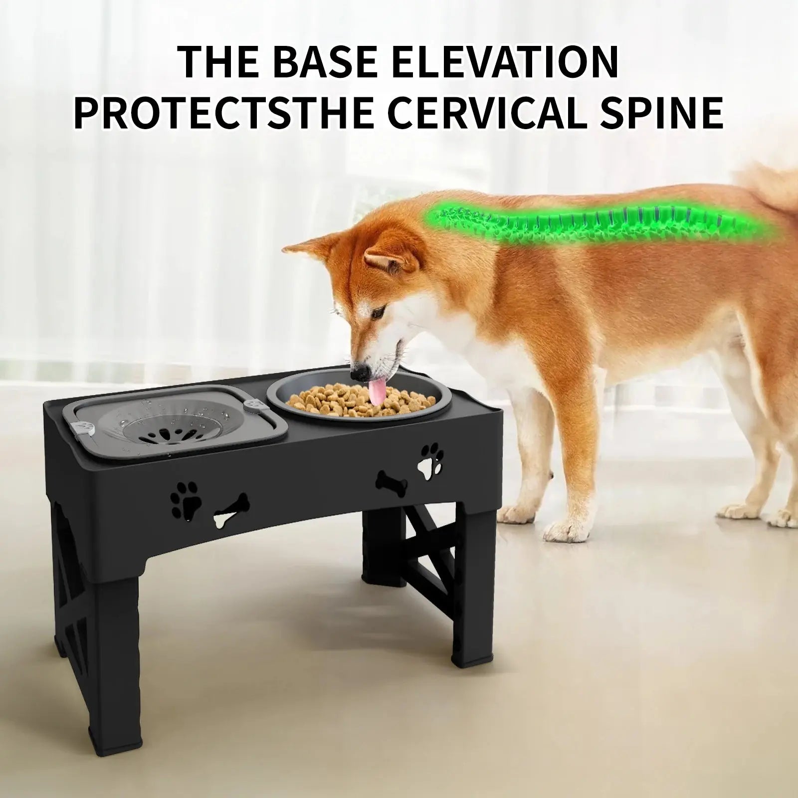 Double Elevated Bowls for Pets - Black & Elva