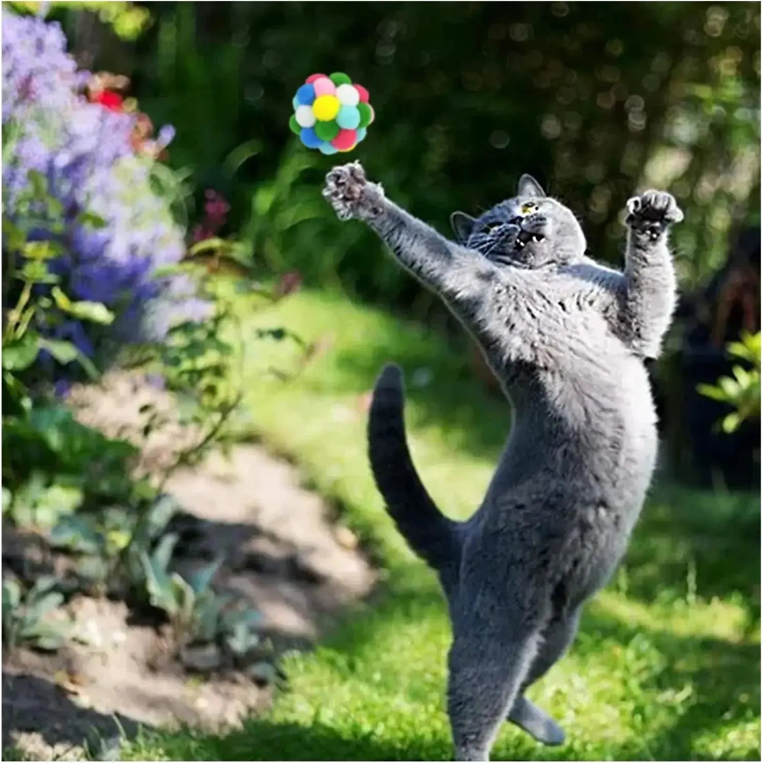 Cat Toy Balls Set - Black & Elva