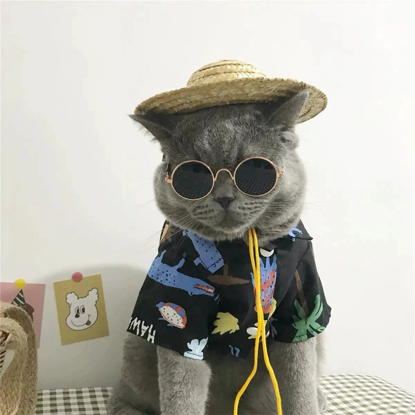 Vintage Pet Sunglasses - Black & Elva
