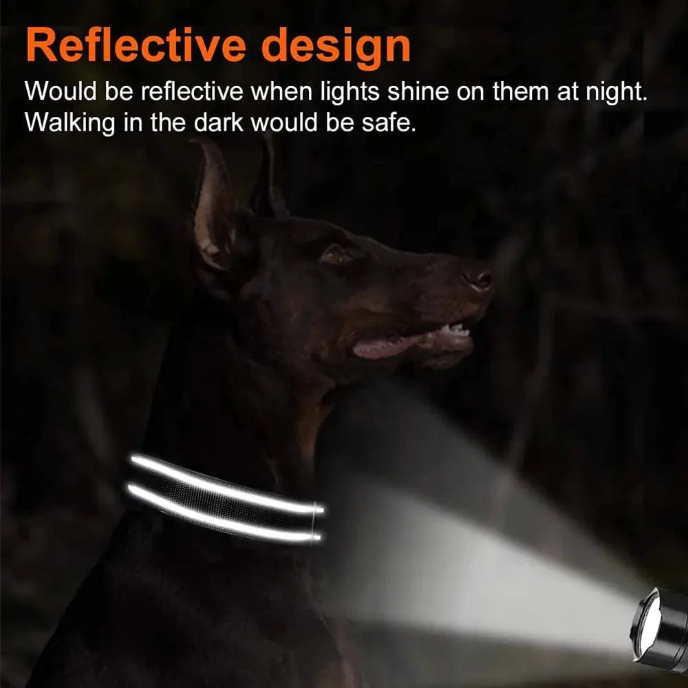 Custom Dog Collar - Black & Elva