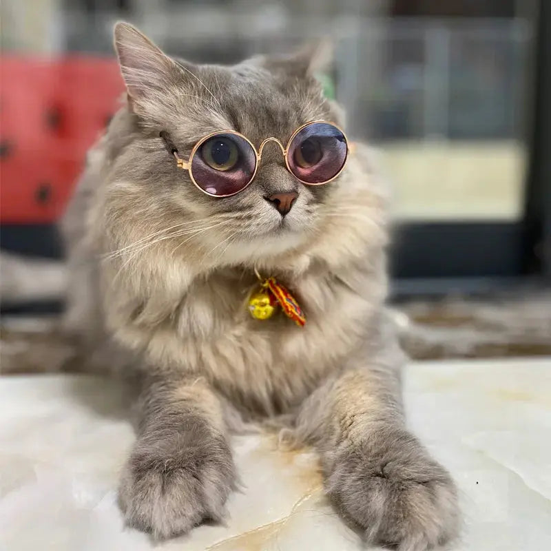 Vintage Pet Sunglasses - Black & Elva