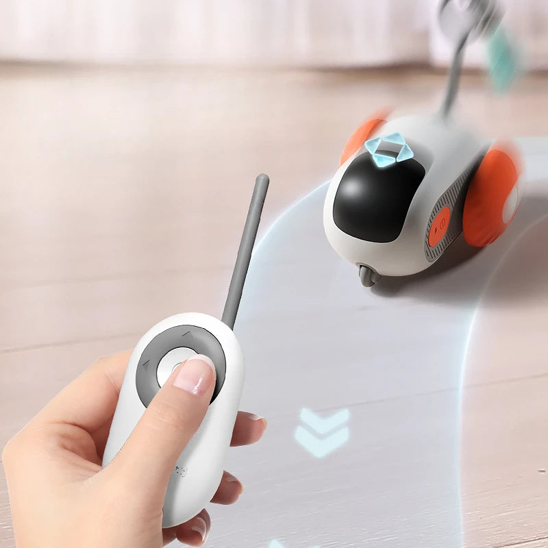 Remote Control Cat Toy – Smart USB Interactive Car for Chasing Fun - Black & Elva