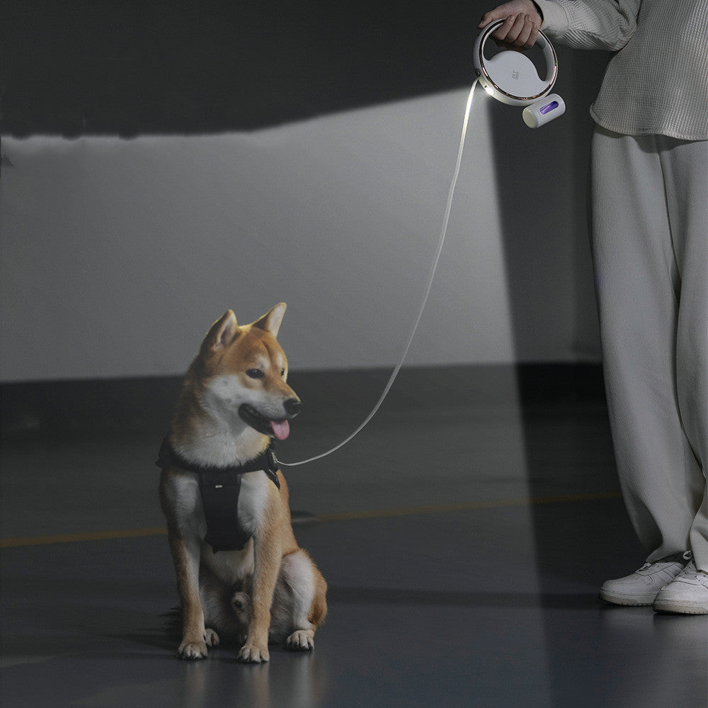 Automatic Lighting Retractable Dog Leash - Black & Elva