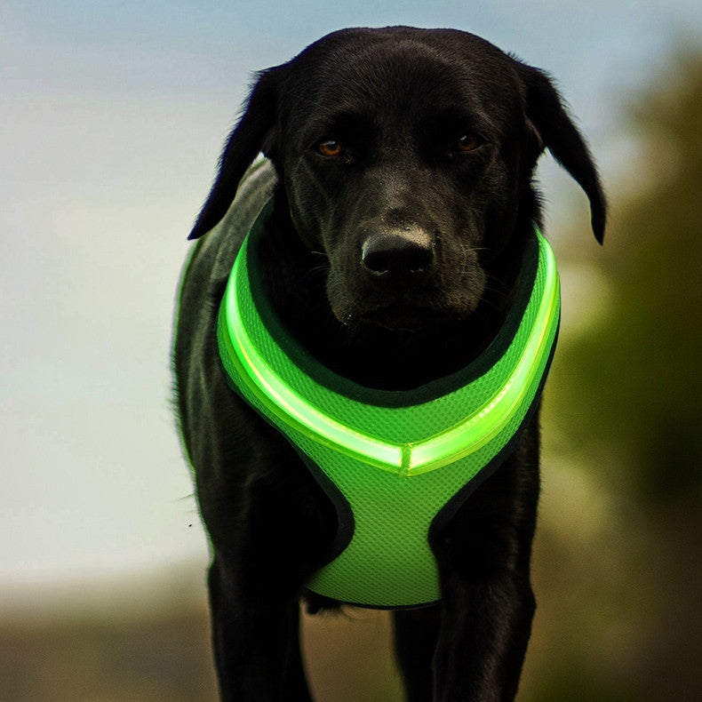 LED Reflective Dog Harness – USB Rechargeable Safety Vest for Small to Large Dogs - Black & Elva