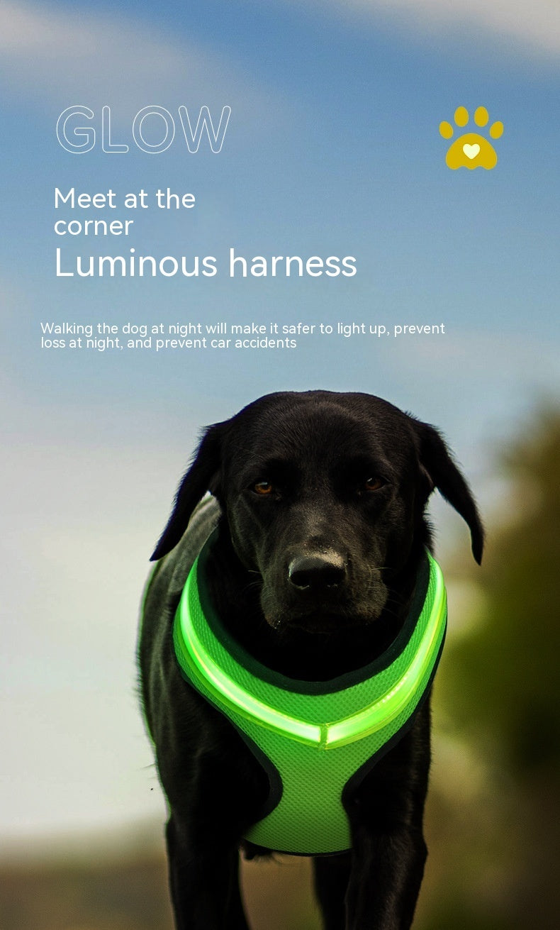LED Reflective Dog Harness – USB Rechargeable Safety Vest for Small to Large Dogs - Black & Elva