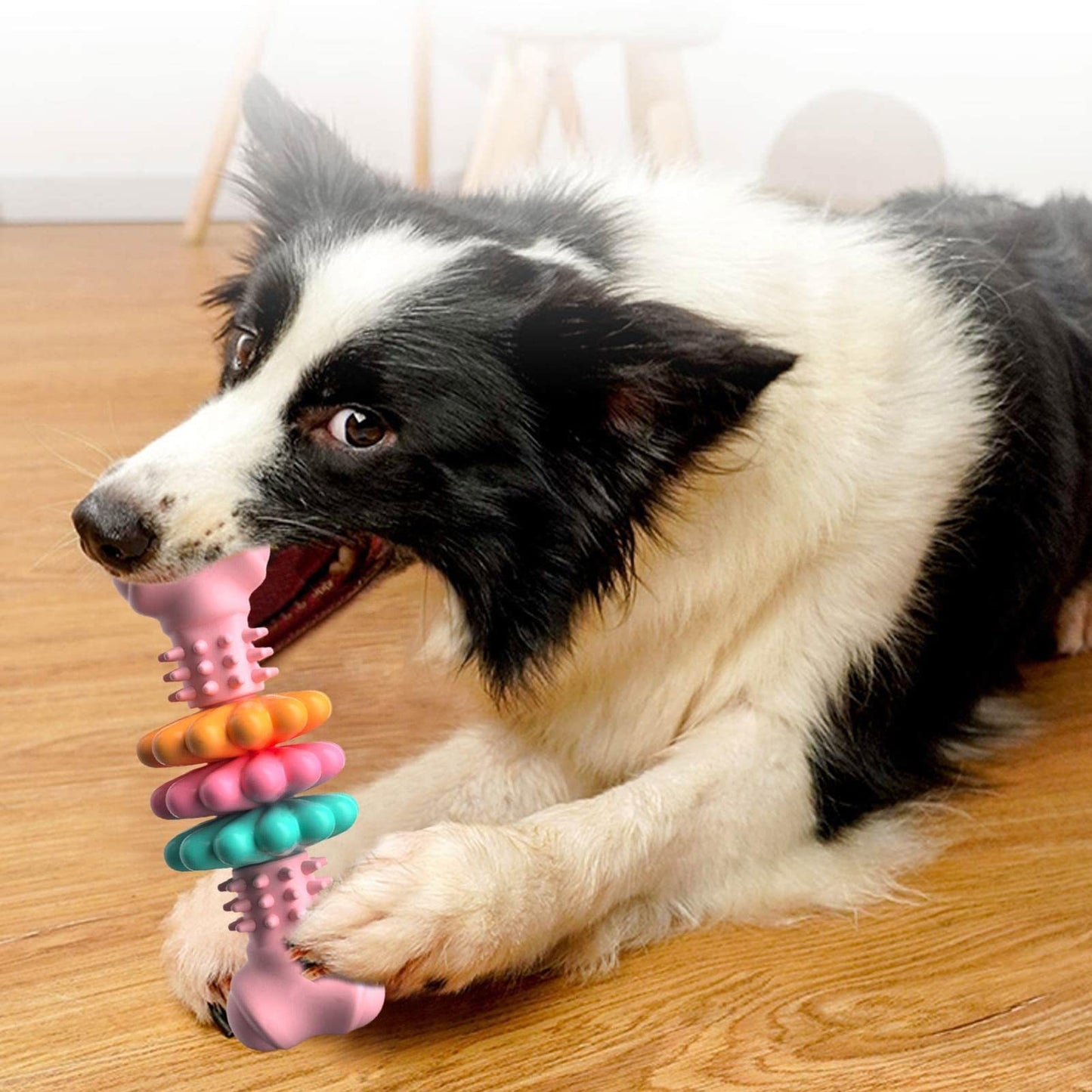 Indestructible Dog Chew Bone – TPR Teeth Cleaning Toy for Aggressive Chewers - Black & Elva