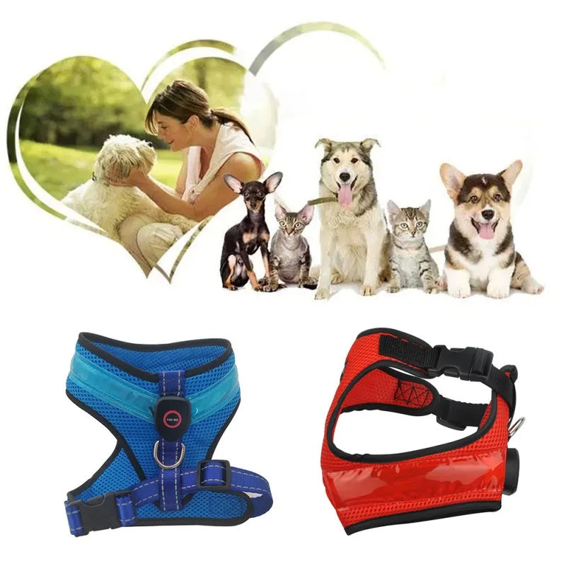 LED Reflective Dog Harness – USB Rechargeable Safety Vest for Small to Large Dogs - Black & Elva