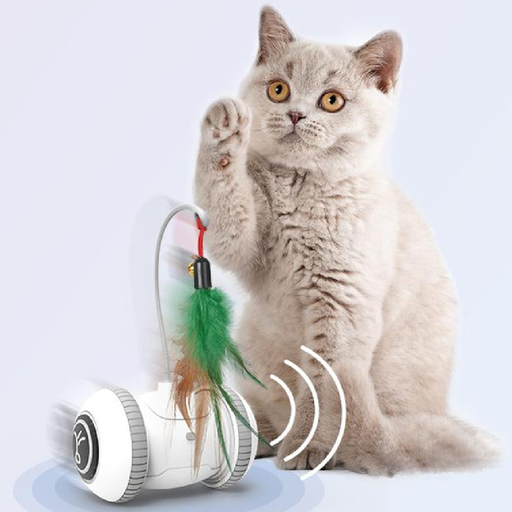 Interactive Cat Toy With Interchangeable Heads  Pet Feather Toys - Black & Elva